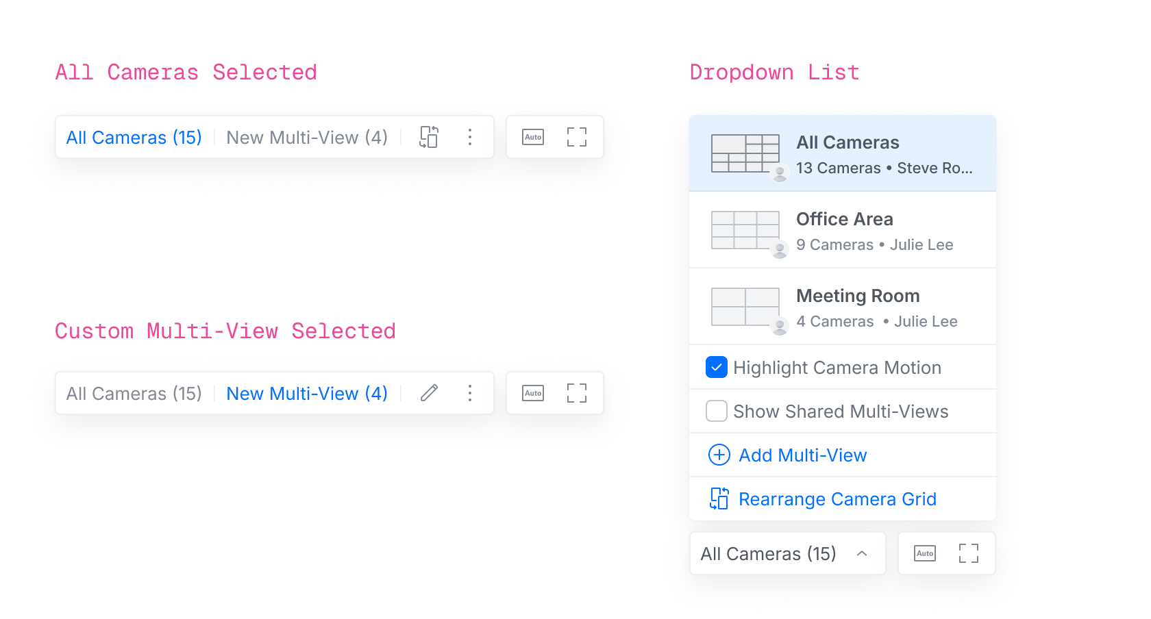Camera grid item and multi-view arrangement